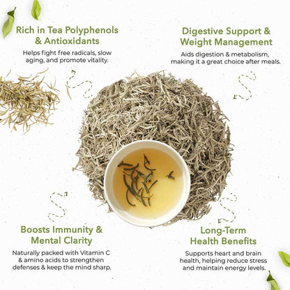 White Needle Tea: Pure Aroma, Elegant & Healthy