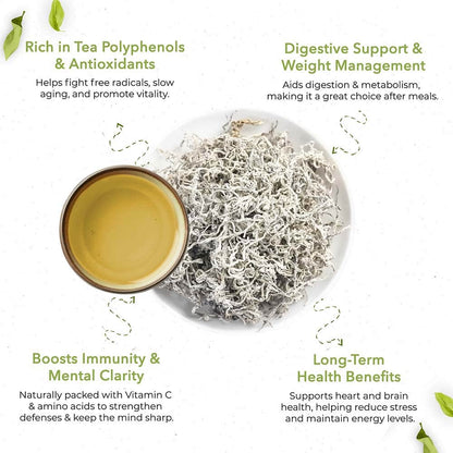 Teng Tea: Unique Fermentation, Naturally Sweet